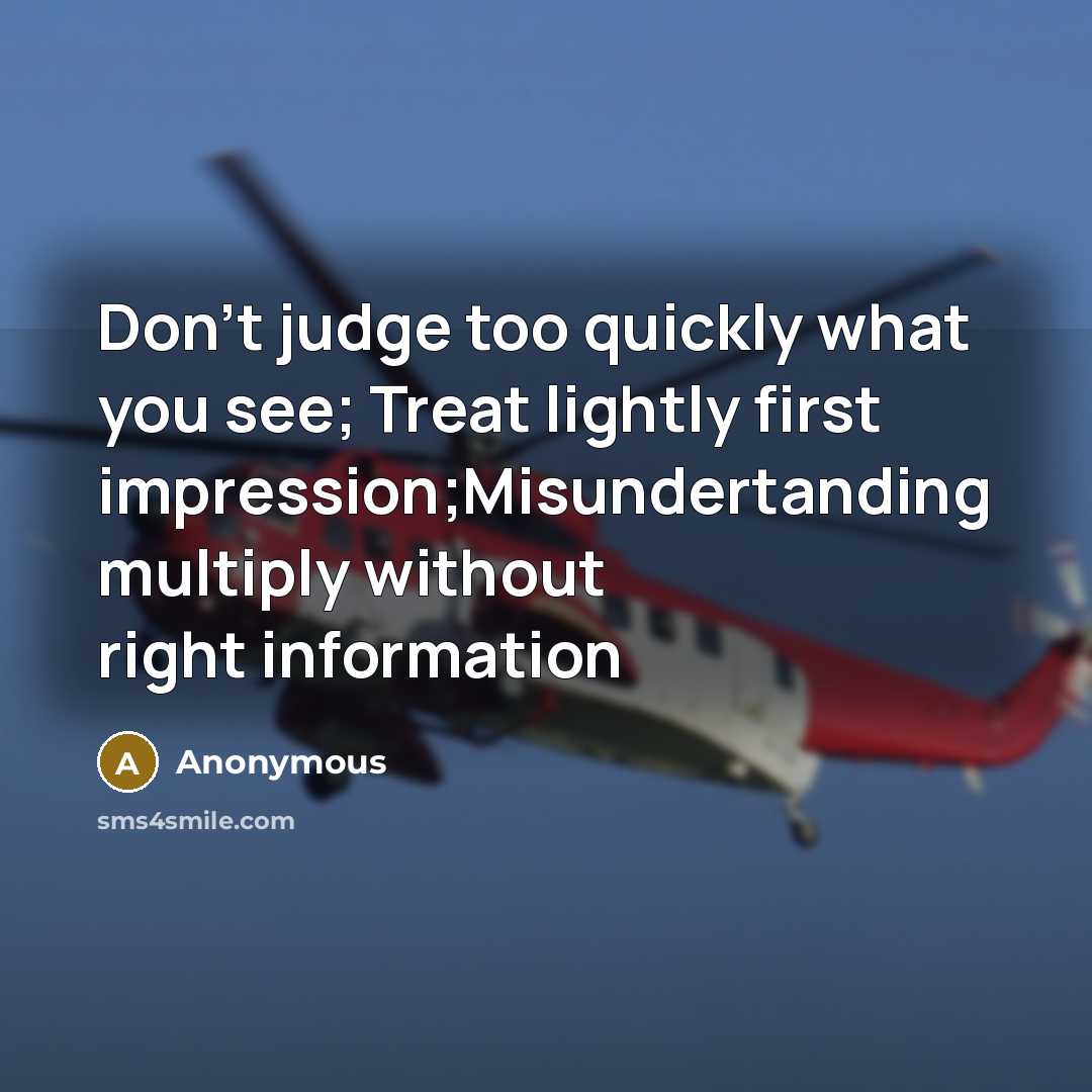 “Don't judge too quickly what you see; Treat lightly first impression;Misundertanding multiply without right information” quote by Anonymous