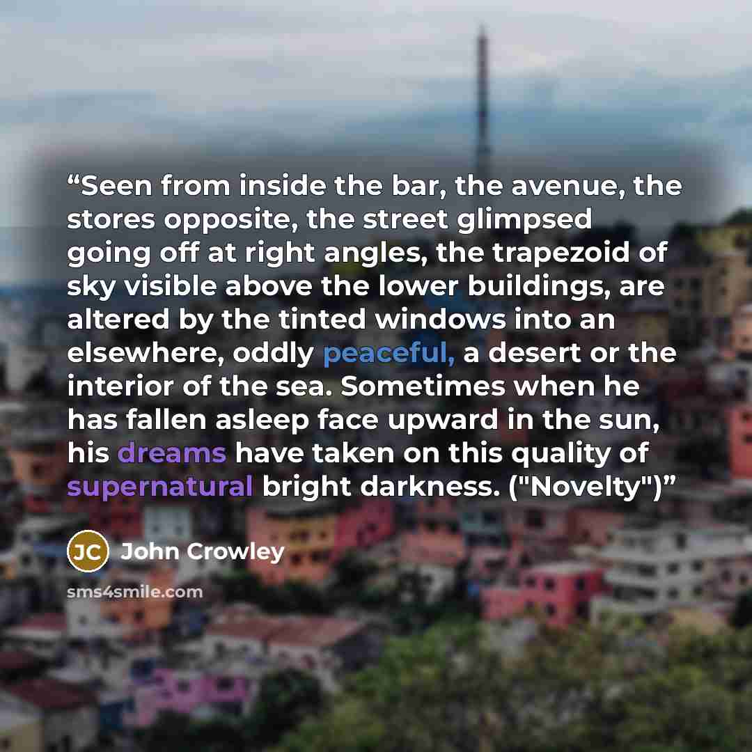 “Seen from inside the bar, the avenue, the stores opposite, the street glimpsed going off at right angles, the trapezoid of sky visible above the lower buildings, are altered by the tinted windows into an elsewhere, oddly peaceful, a desert or the interior of the sea. Sometimes when he has fallen…” quote by John Crowley
