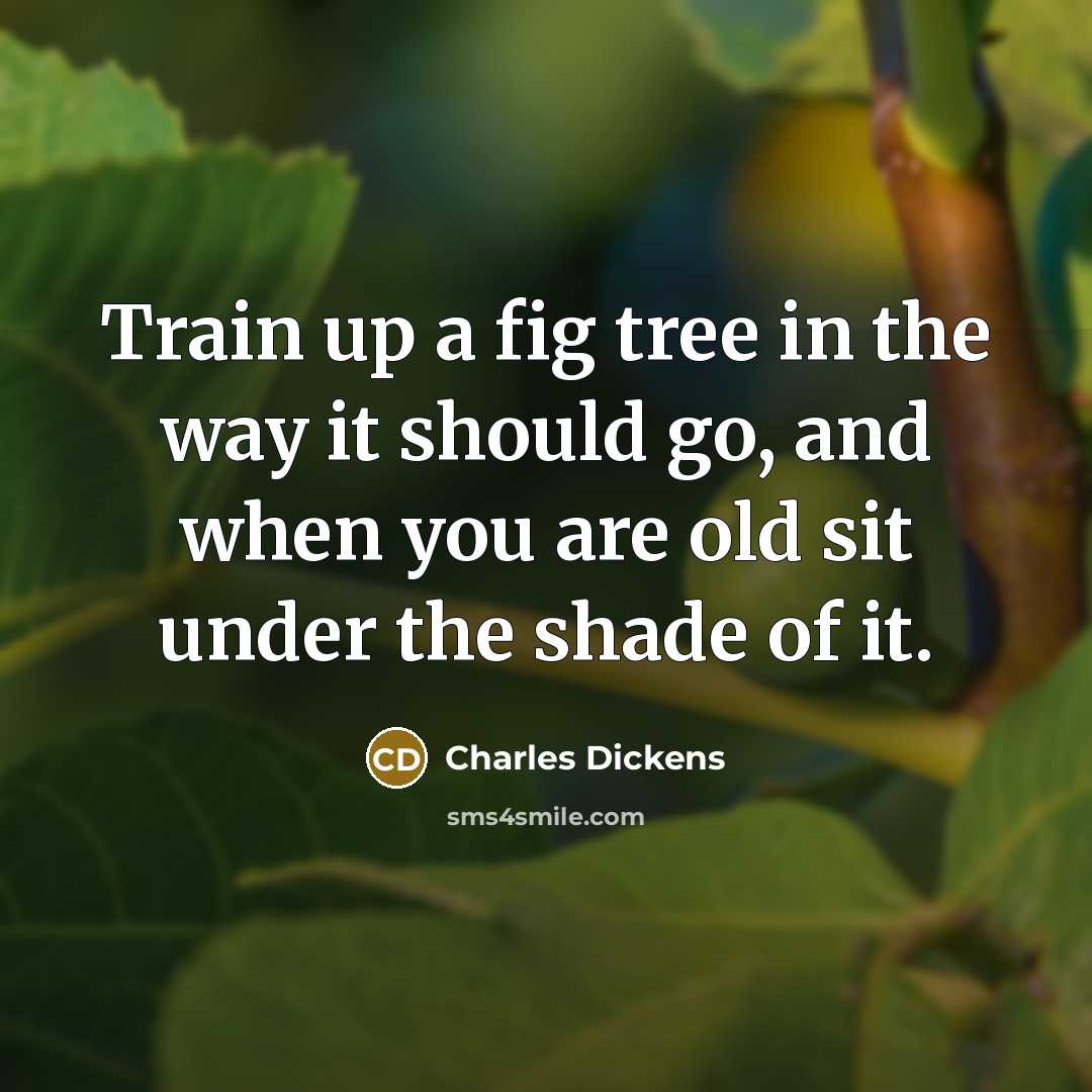 “Train up a fig tree in the way it should go, and when you are old sit under the shade of it.” quote by Charles Dickens