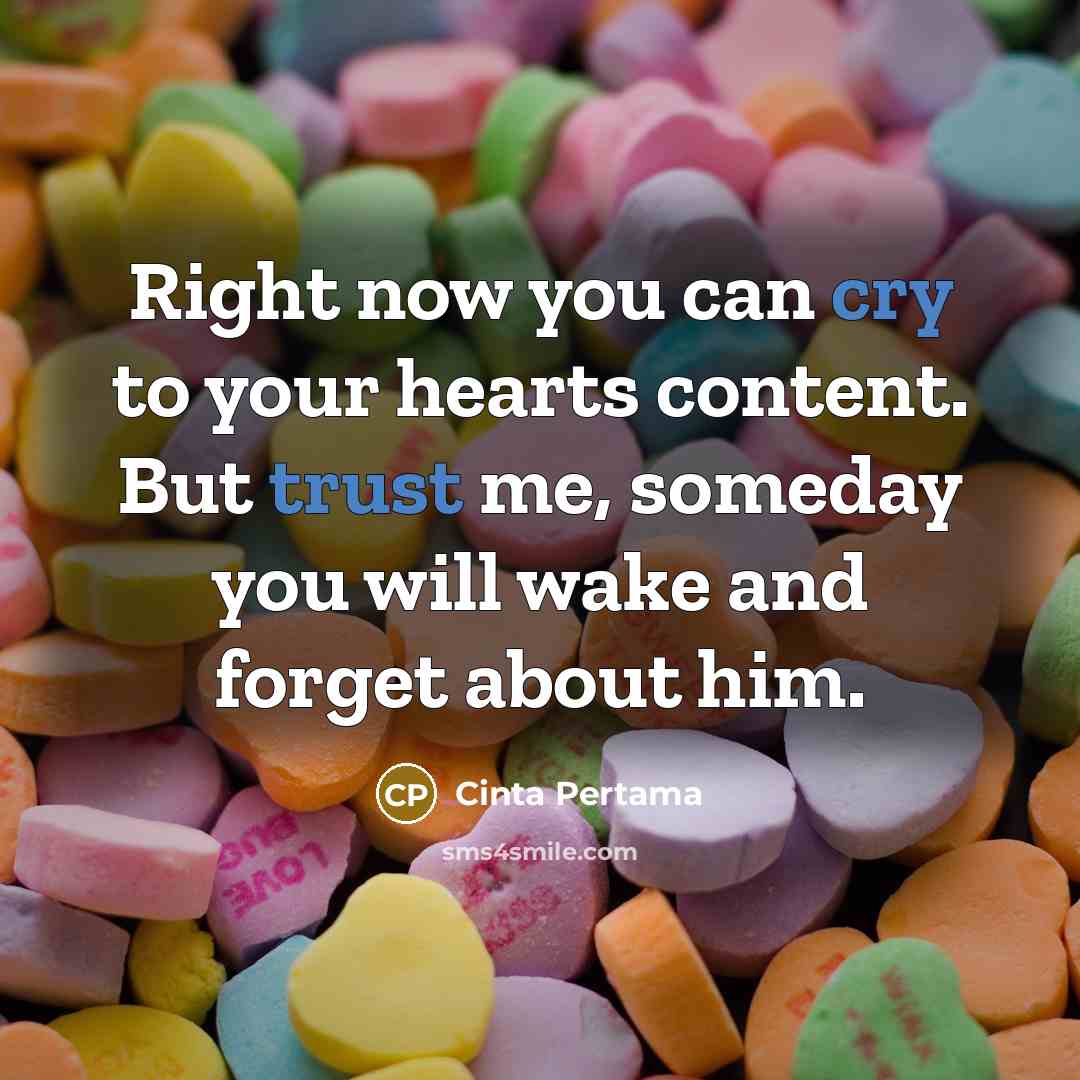 “Right now you can cry to your hearts content. But trust me, someday you will wake and forget about him.” quote by Cinta Pertama