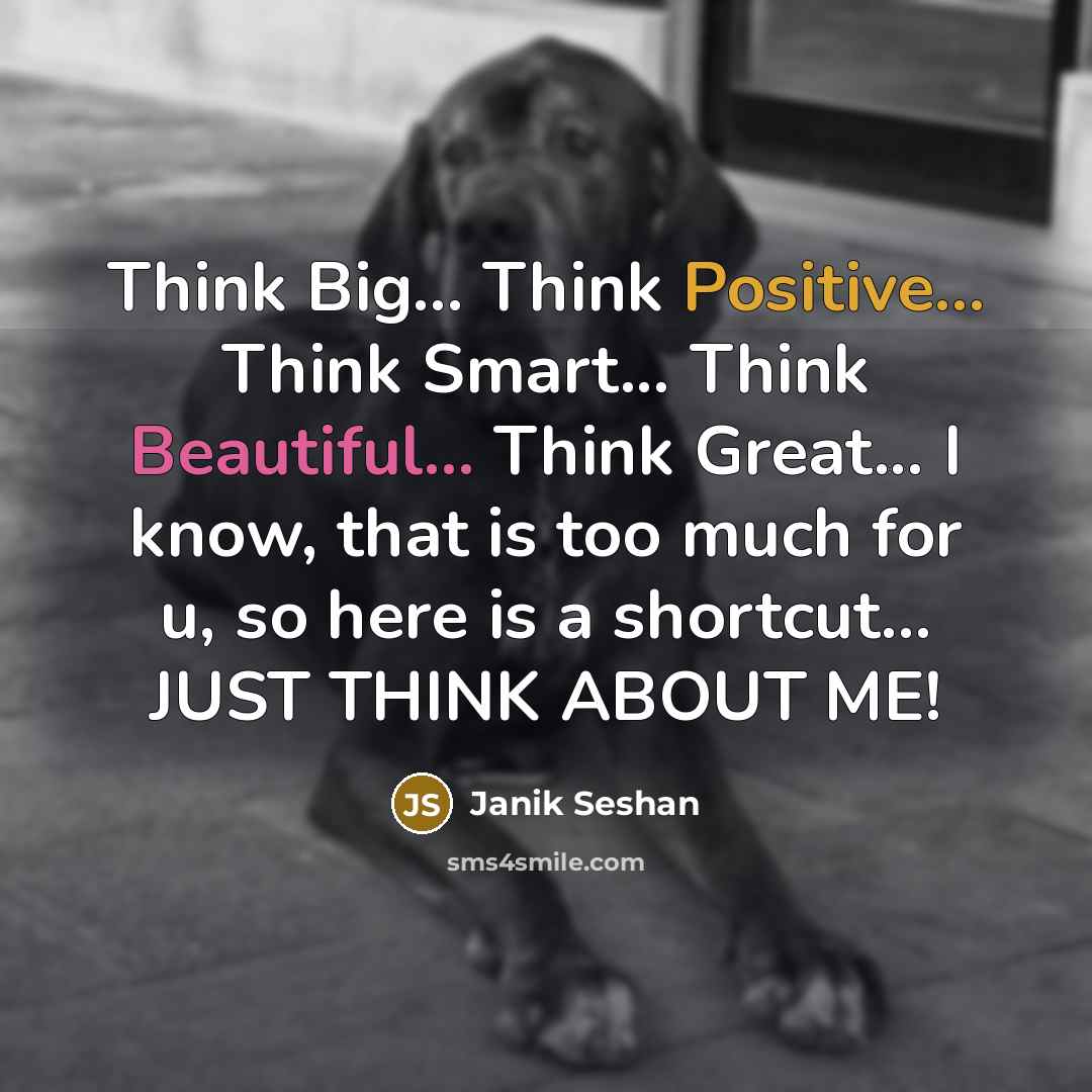 “Think Big... Think Positive... Think Smart... Think Beautiful... Think Great... I know, that is too much for u, so here is a shortcut... JUST THINK ABOUT ME!” quote by Janik Seshan