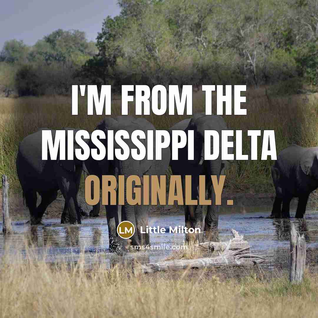 “I'm from the Mississippi delta originally.” quote by Little Milton
