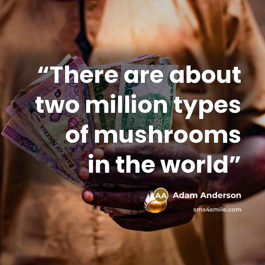 “There are about two million types of mushrooms in the world” quote by Adam Anderson