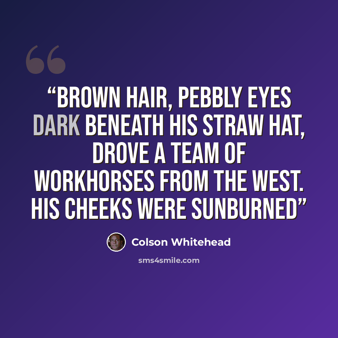 “brown hair, pebbly eyes dark beneath his straw hat, drove a team of workhorses from the west. His cheeks were sunburned” quote by Colson Whitehead