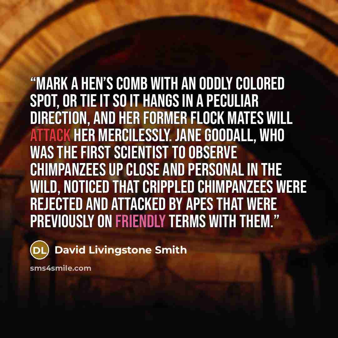 “Mark a hen’s comb with an oddly colored spot, or tie it so it hangs in a peculiar direction, and her former flock mates will attack her mercilessly. Jane Goodall, who was the first scientist to observe chimpanzees up close and personal in the wild, noticed that crippled chimpanzees were rejected…” quote by David Livingstone Smith