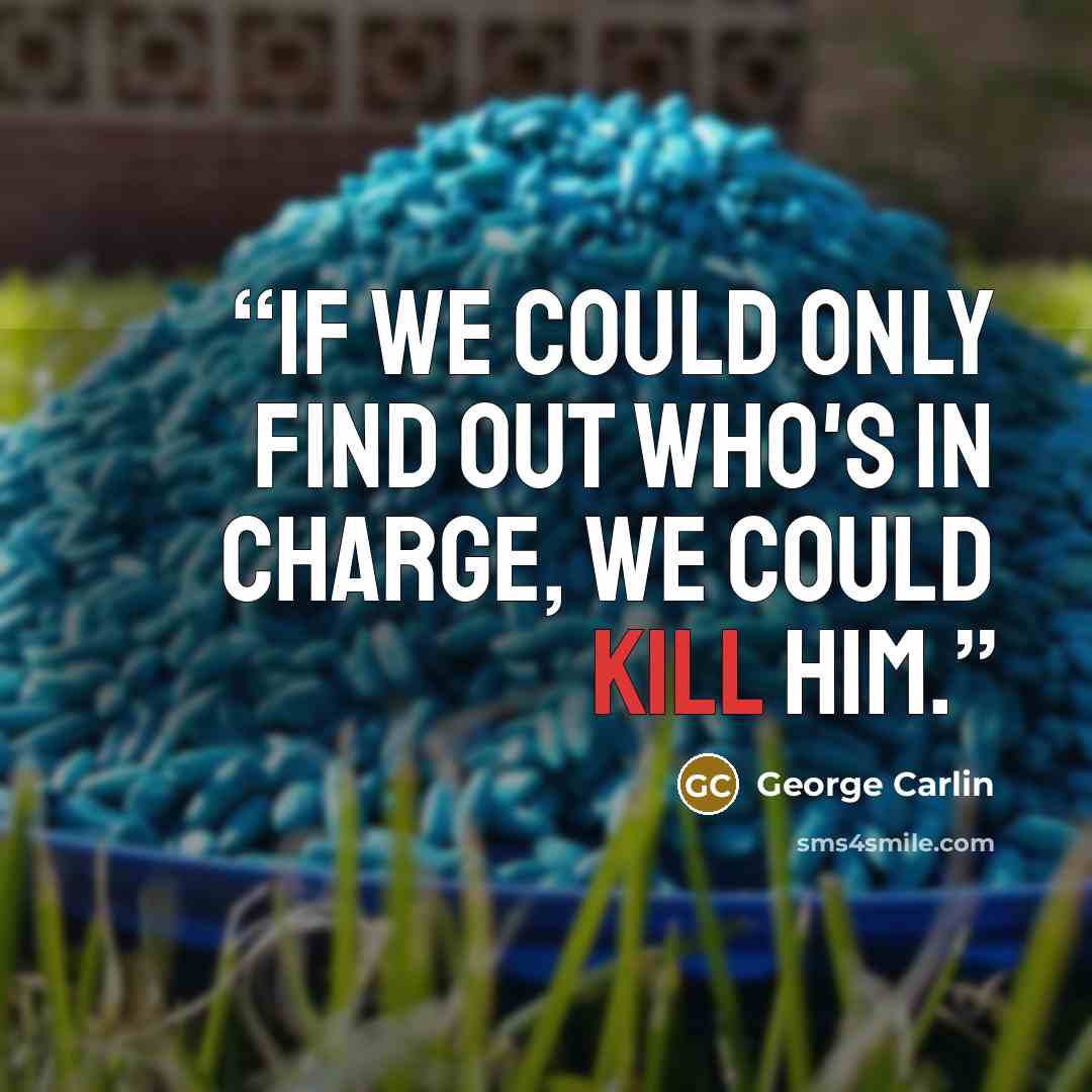 “If we could only find out who's in charge, we could kill him.” quote by George Carlin