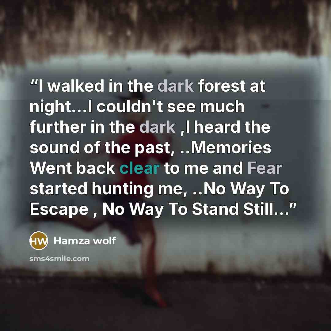 “I walked in the dark forest at night...I couldn't see much further in the dark ,I heard the sound of the past, ..Memories Went back clear to me and Fear started hunting me, ..No Way To Escape , No Way To Stand Still...” quote by Hamza wolf