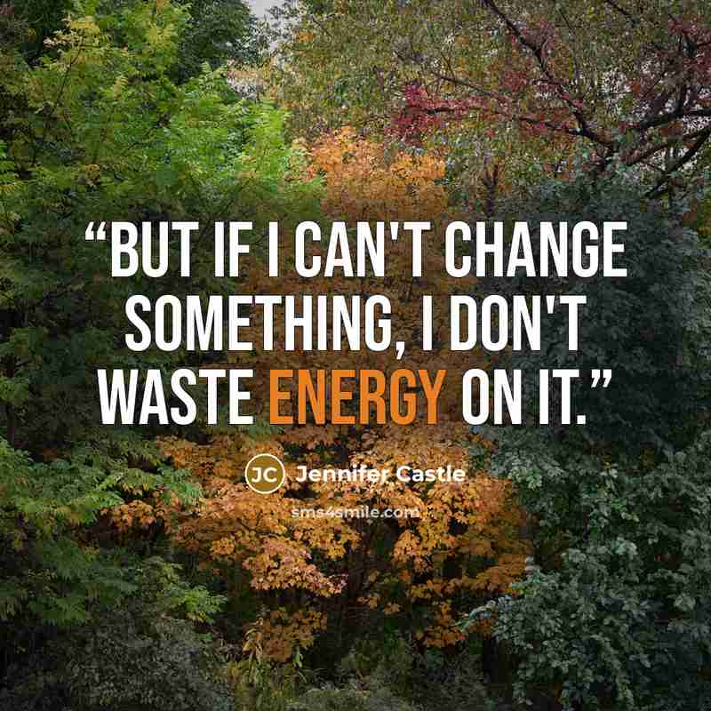 “But if I can't change something, I don't waste energy on it.” quote by Jennifer Castle