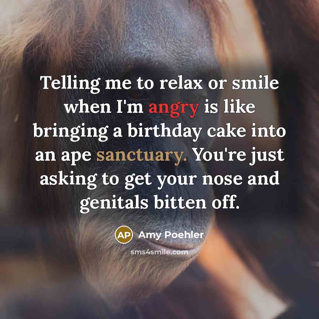“Telling me to relax or smile when I'm angry is like bringing a birthday cake into an ape sanctuary. You're just asking to get your nose and genitals bitten off.” quote by Amy Poehler
