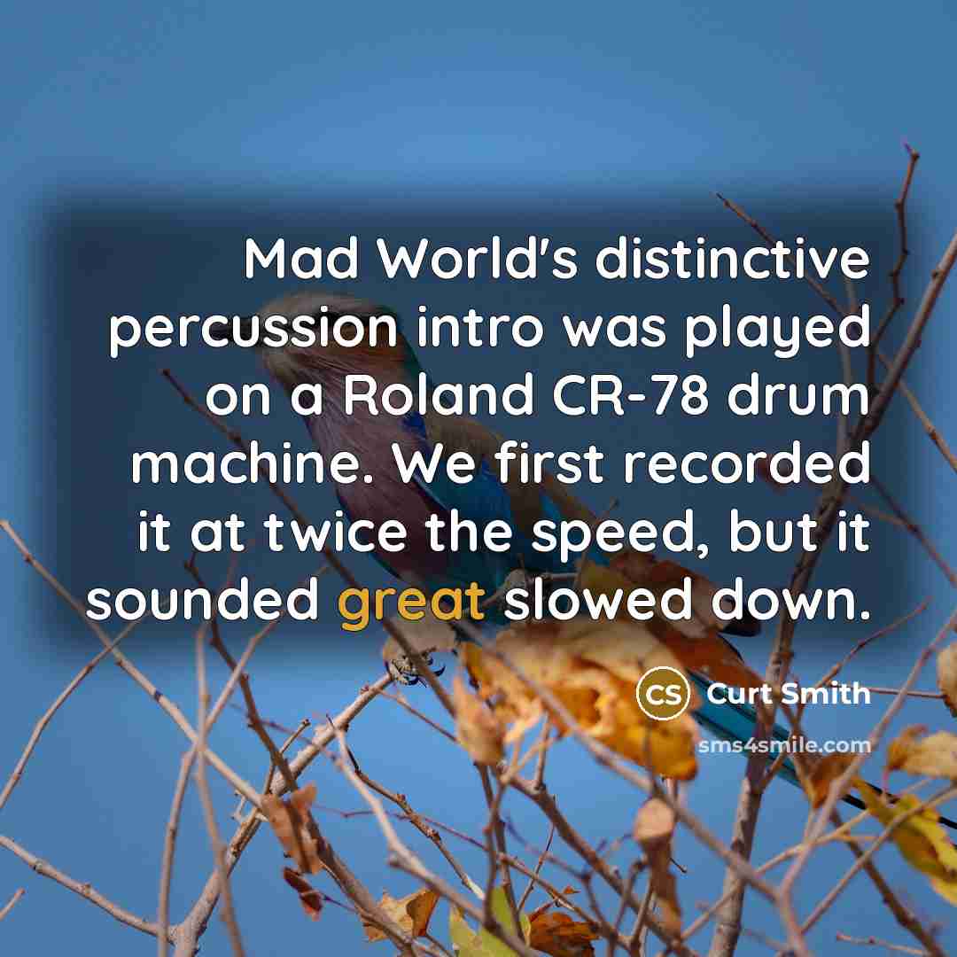 “Mad World's distinctive percussion intro was played on a Roland CR-78 drum machine. We first recorded it at twice the speed, but it sounded great slowed down.” quote by Curt Smith