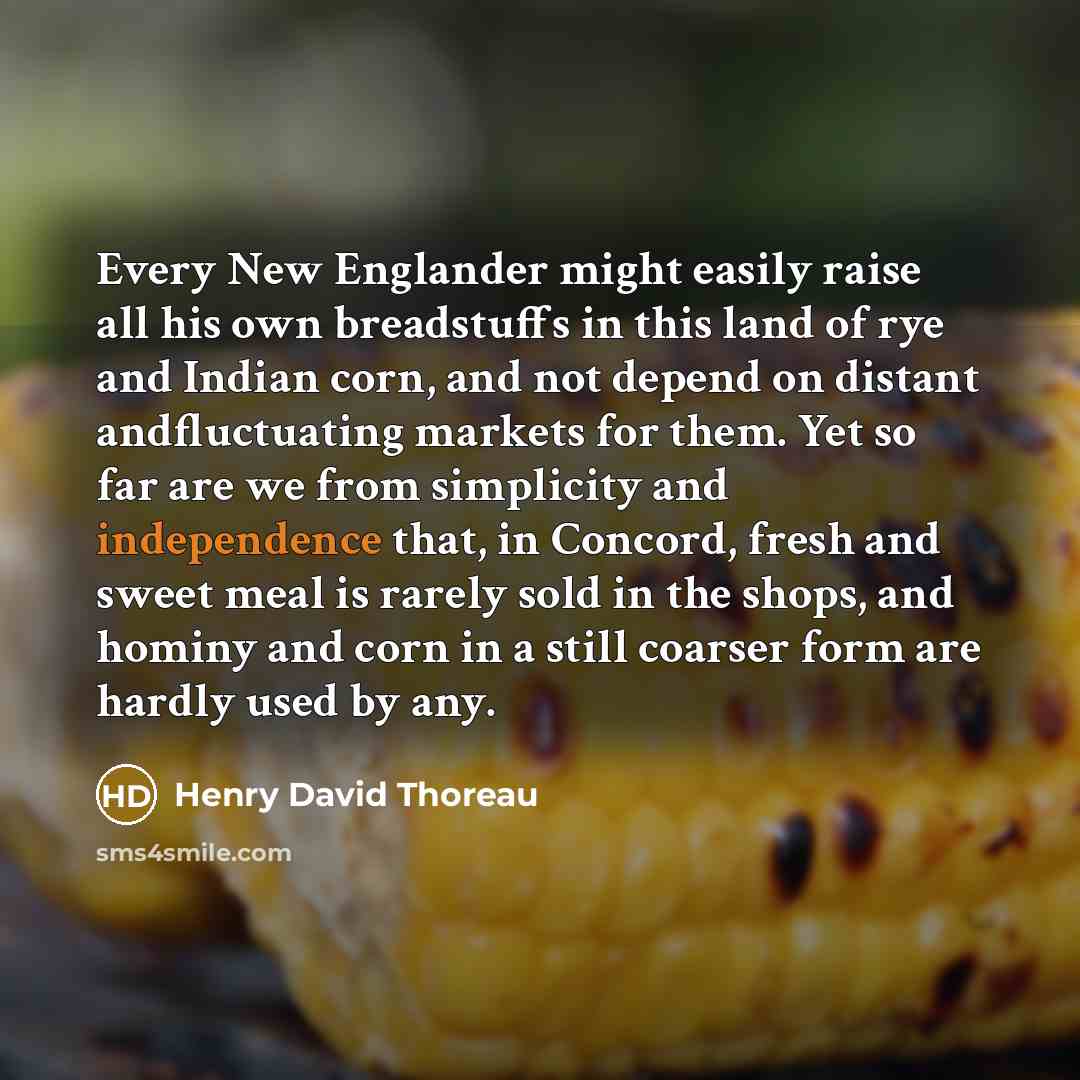 “Every New Englander might easily raise all his own breadstuffs in this land of rye and Indian corn, and not depend on distant andfluctuating markets for them. Yet so far are we from simplicity and independence that, in Concord, fresh and sweet meal is rarely sold in the shops, and hominy and corn…” quote by Henry David Thoreau