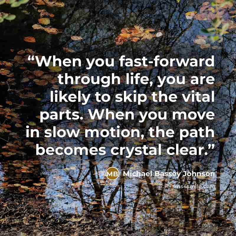 “When you fast-forward through life, you are likely to skip the vital parts. When you move in slow motion, the path becomes crystal clear.” quote by Michael Bassey Johnson