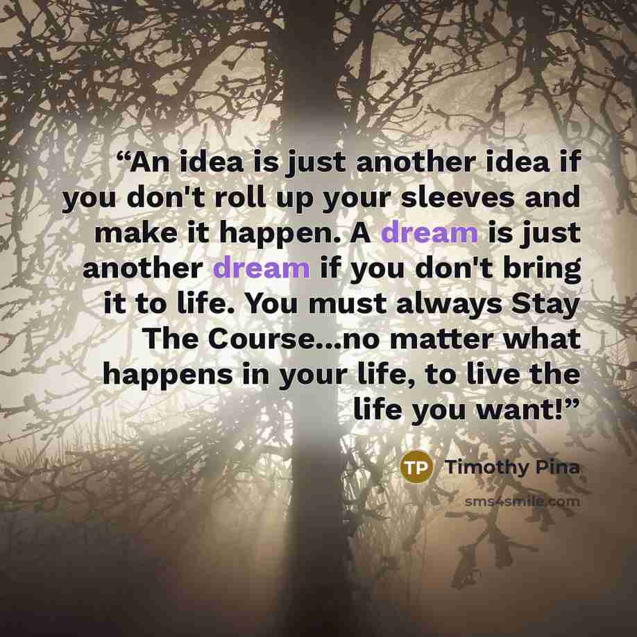 “An idea is just another idea if you don't roll up your sleeves and make it happen. A dream is just another dream if you don't bring it to life. You must always Stay The Course...no matter what happens in your life, to live the life you want!” quote by Timothy Pina
