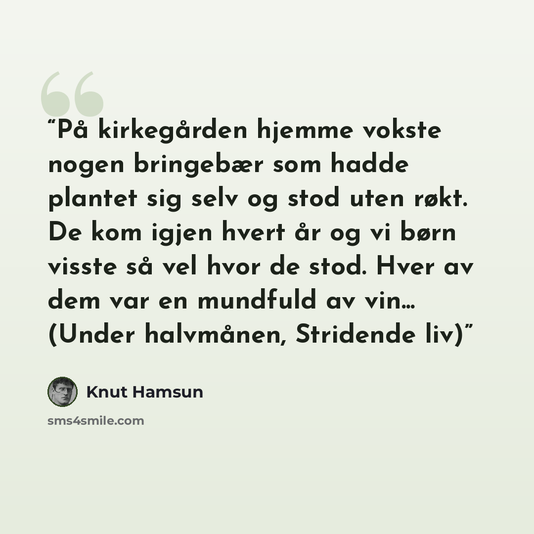 “På kirkegården hjemme vokste nogen bringebær som hadde plantet sig selv og stod uten røkt. De kom igjen hvert år og vi børn visste så vel hvor de stod. Hver av dem var en mundfuld av vin... (Under halvmånen, Stridende liv)” quote by Knut Hamsun
