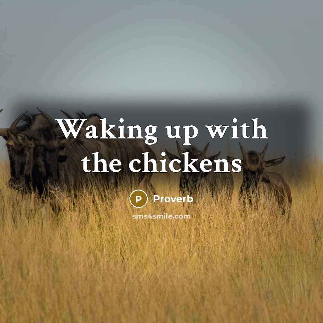 “Waking up with the chickens” quote by Proverb