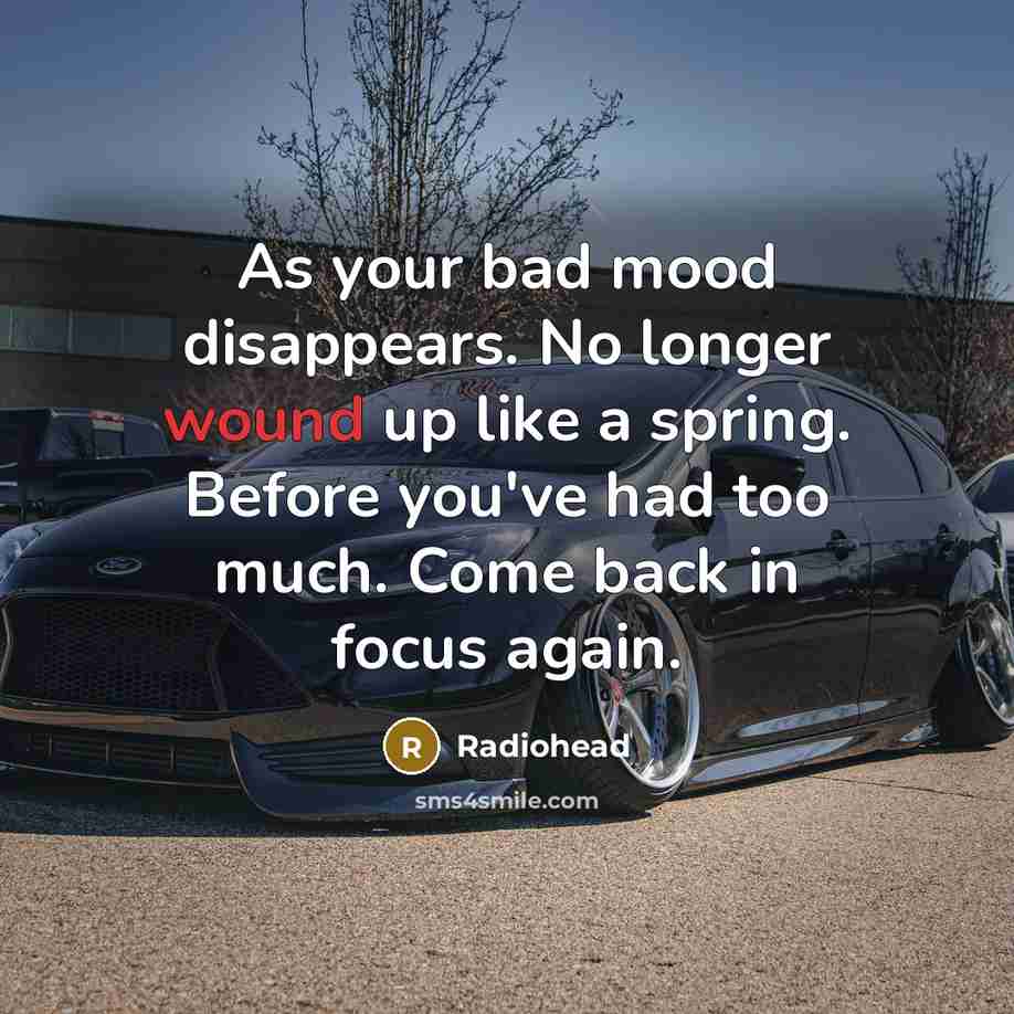 “As your bad mood disappears. No longer wound up like a spring. Before you've had too much. Come back in focus again.” quote by Radiohead