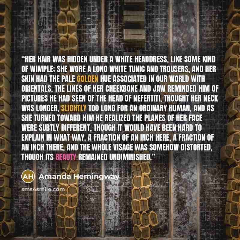 “Her hair was hidden under a white headdress, like some kind of wimple; she wore a long white tunic and trousers, and her skin had the pale golden hue associated in our world with Orientals. The lines of her cheekbone and jaw reminded him of pictures he had seen of the head of Nefertiti, thought…” quote by Amanda Hemingway