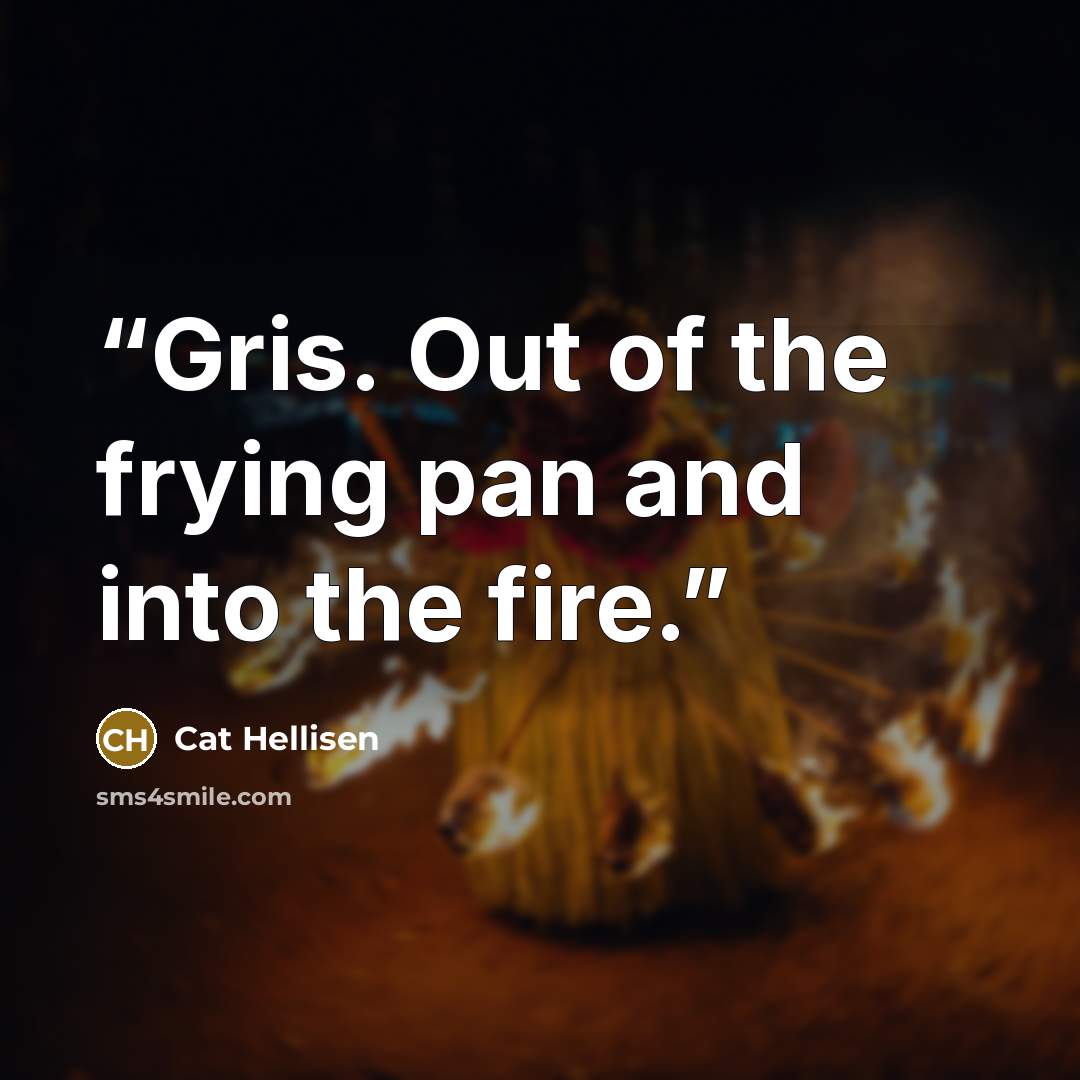 “Gris. Out of the frying pan and into the fire.” quote by Cat Hellisen
