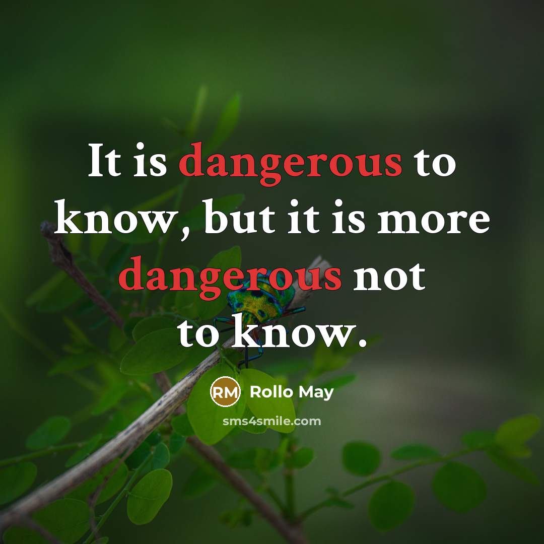 “It is dangerous to know, but it is more dangerous not to know.” quote by Rollo May