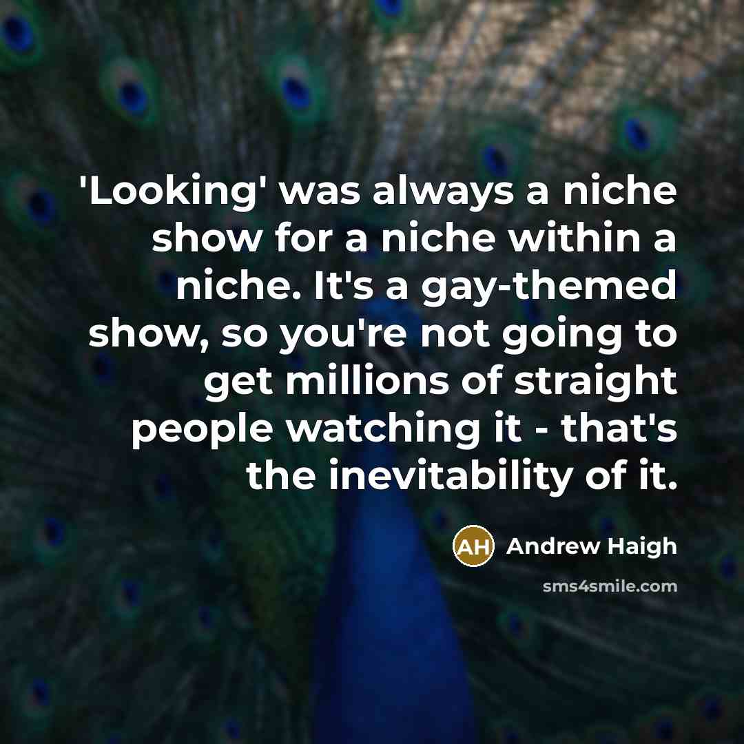 “'Looking' was always a niche show for a niche within a niche. It's a gay-themed show, so you're not going to get millions of straight people watching it - that's the inevitability of it.” quote by Andrew Haigh
