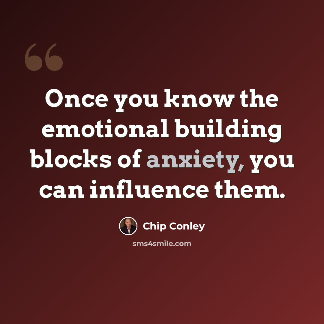 “Once you know the emotional building blocks of anxiety, you can influence them.” quote by Chip Conley