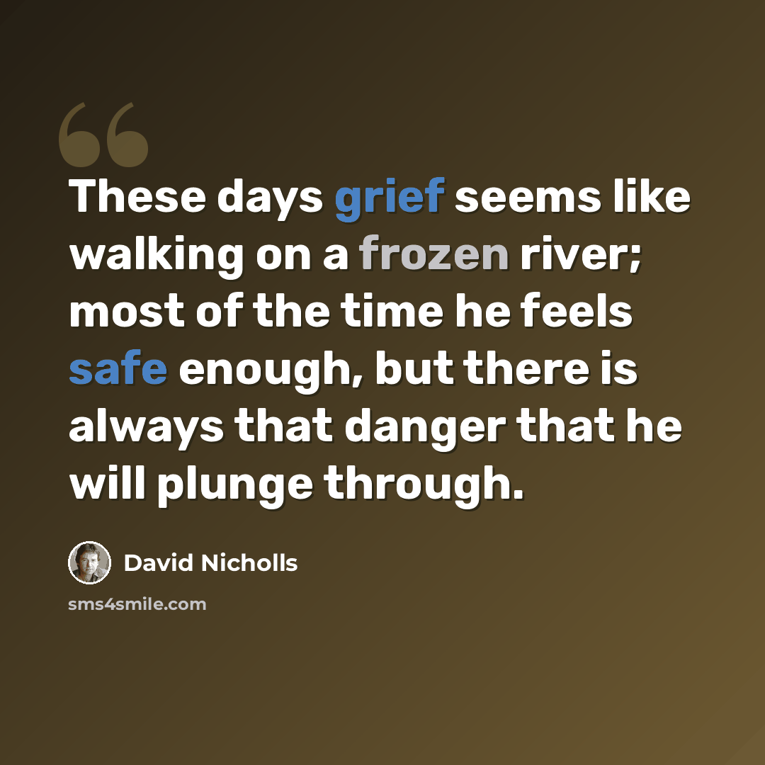 “These days grief seems like walking on a frozen river; most of the time he feels safe enough, but there is always that danger that he will plunge through.” quote by David Nicholls