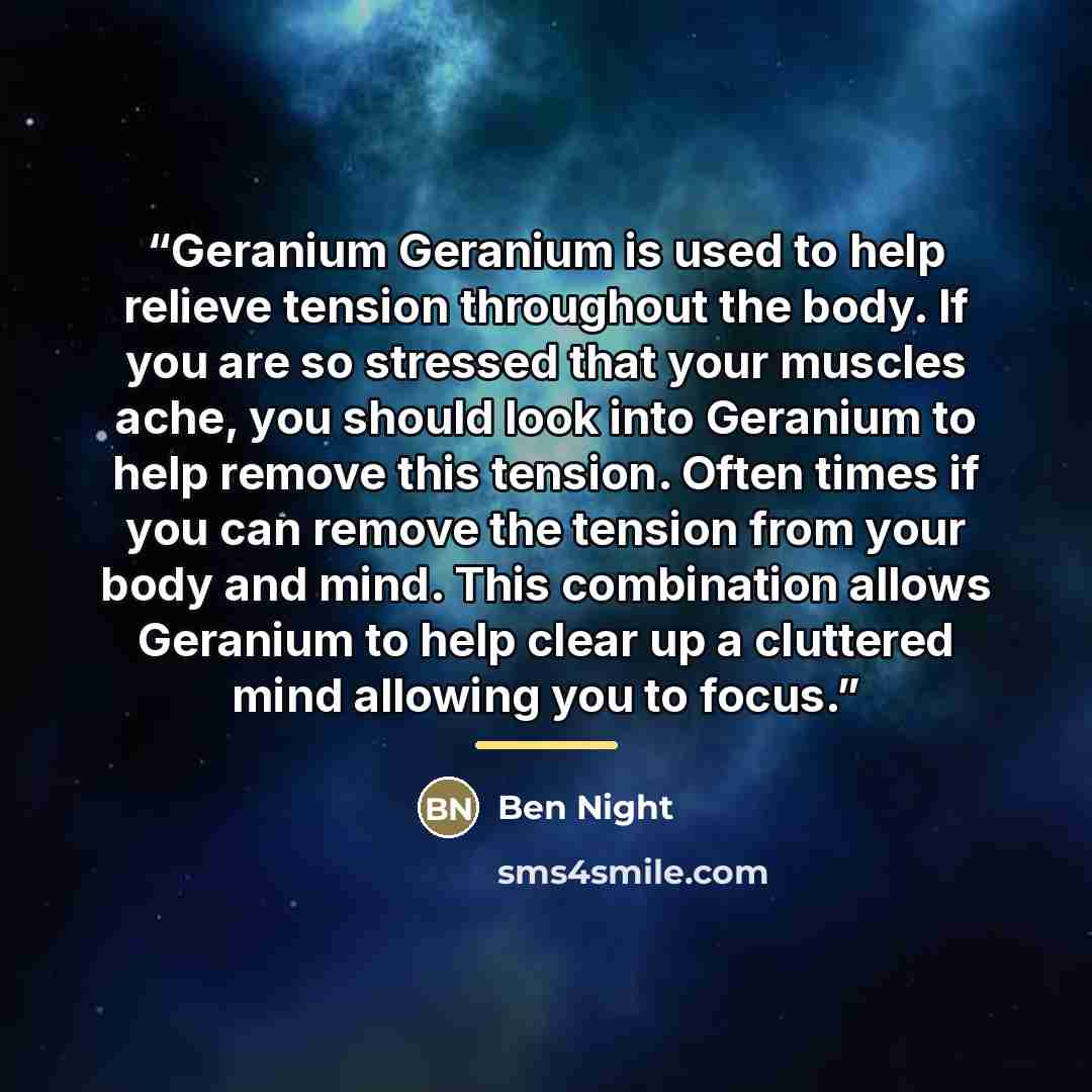 “Geranium Geranium is used to help relieve tension throughout the body. If you are so stressed that your muscles ache, you should look into Geranium to help remove this tension. Often times if you can remove the tension from your body and mind. This combination allows Geranium to help clear up a…” quote by Ben Night