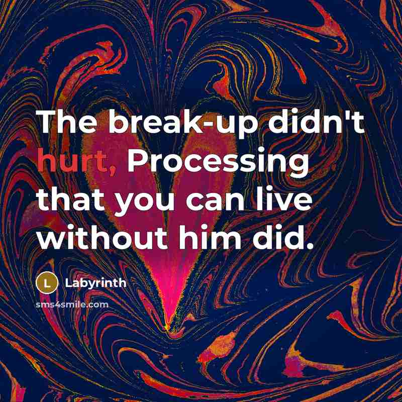 “The break-up didn't hurt, Processing that you can live without him did.” quote by Labyrinth