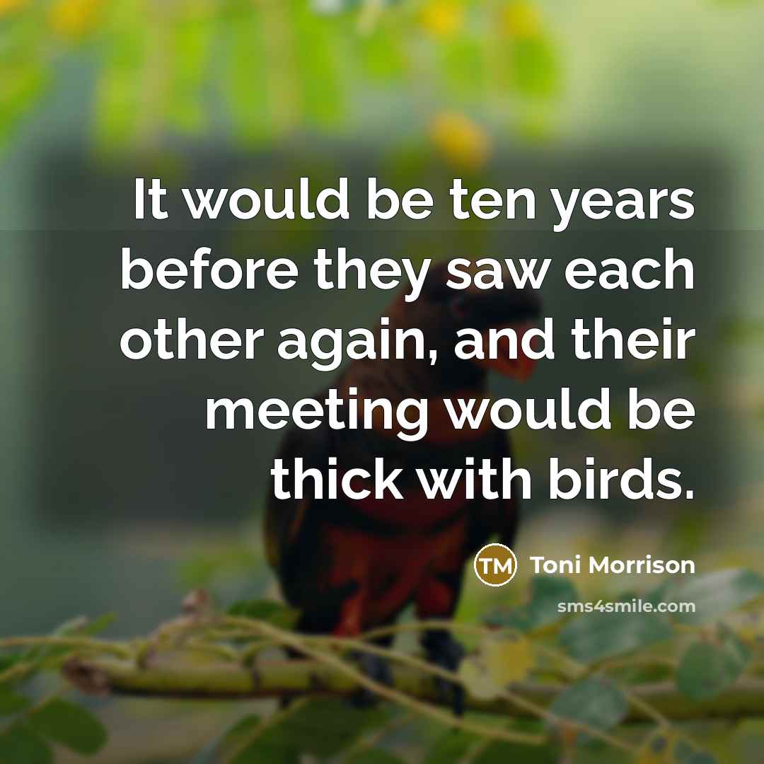 “It would be ten years before they saw each other again, and their meeting would be thick with birds.” quote by Toni Morrison