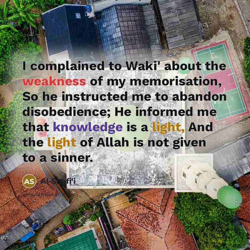 “I complained to Waki' about the weakness of my memorisation, So he instructed me to abandon disobedience; He informed me that knowledge is a light, And the light of Allah is not given to a sinner.” quote by Al-Shafi‘i
