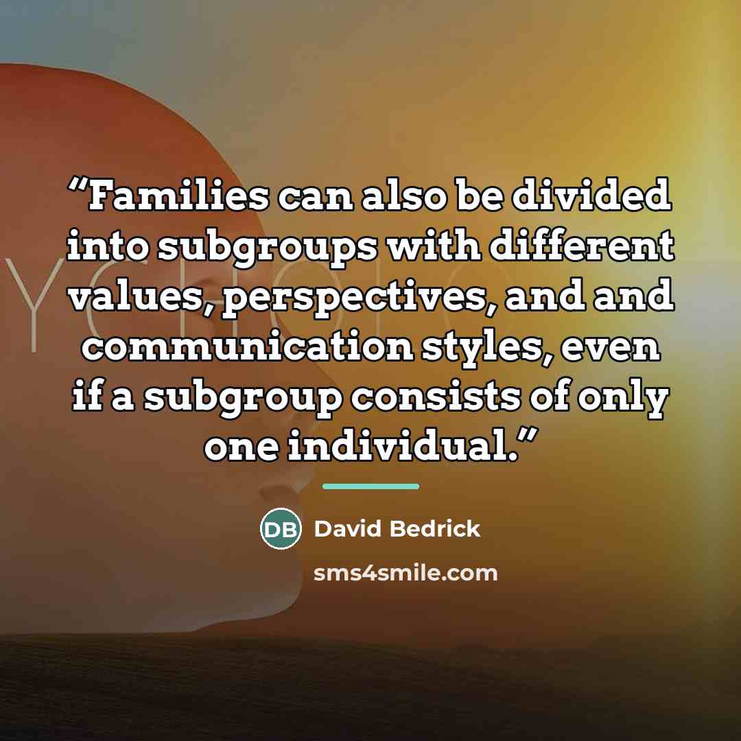 “Families can also be divided into subgroups with different values, perspectives, and and communication styles, even if a subgroup consists of only one individual.” quote by David Bedrick