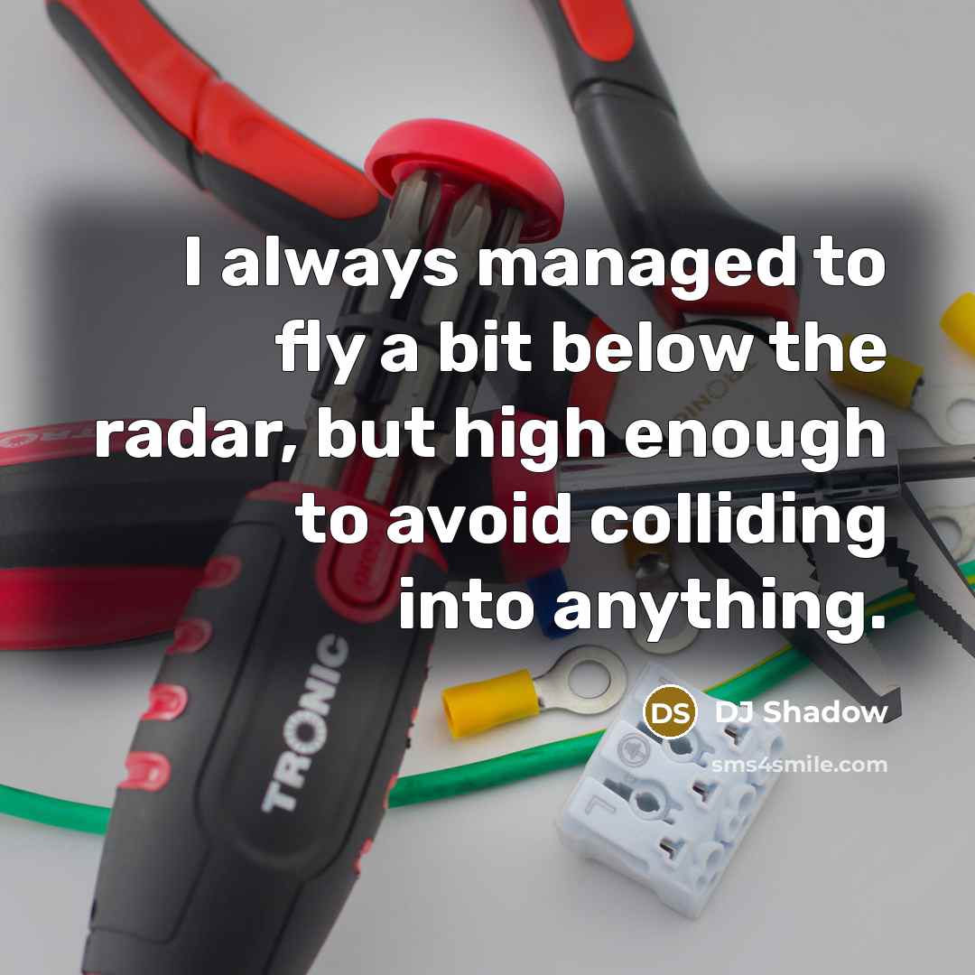 “I always managed to fly a bit below the radar, but high enough to avoid colliding into anything.” quote by DJ Shadow