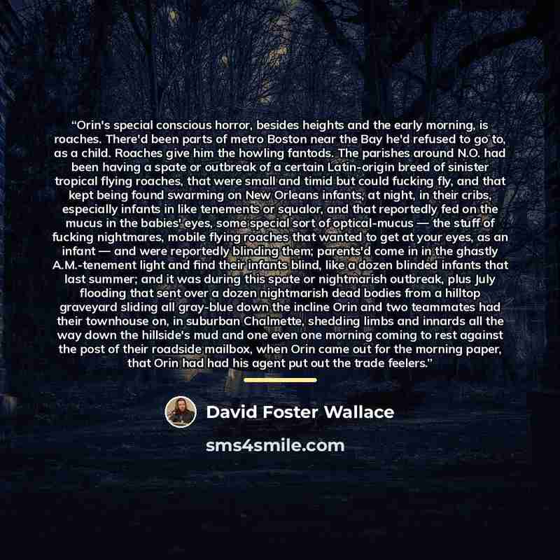 “Orin's special conscious horror, besides heights and the early morning, is roaches. There'd been parts of metro Boston near the Bay he'd refused to go to, as a child. Roaches give him the howling fantods. The parishes around N.O. had been having a spate or outbreak of a certain Latin-origin breed…” quote by David Foster Wallace