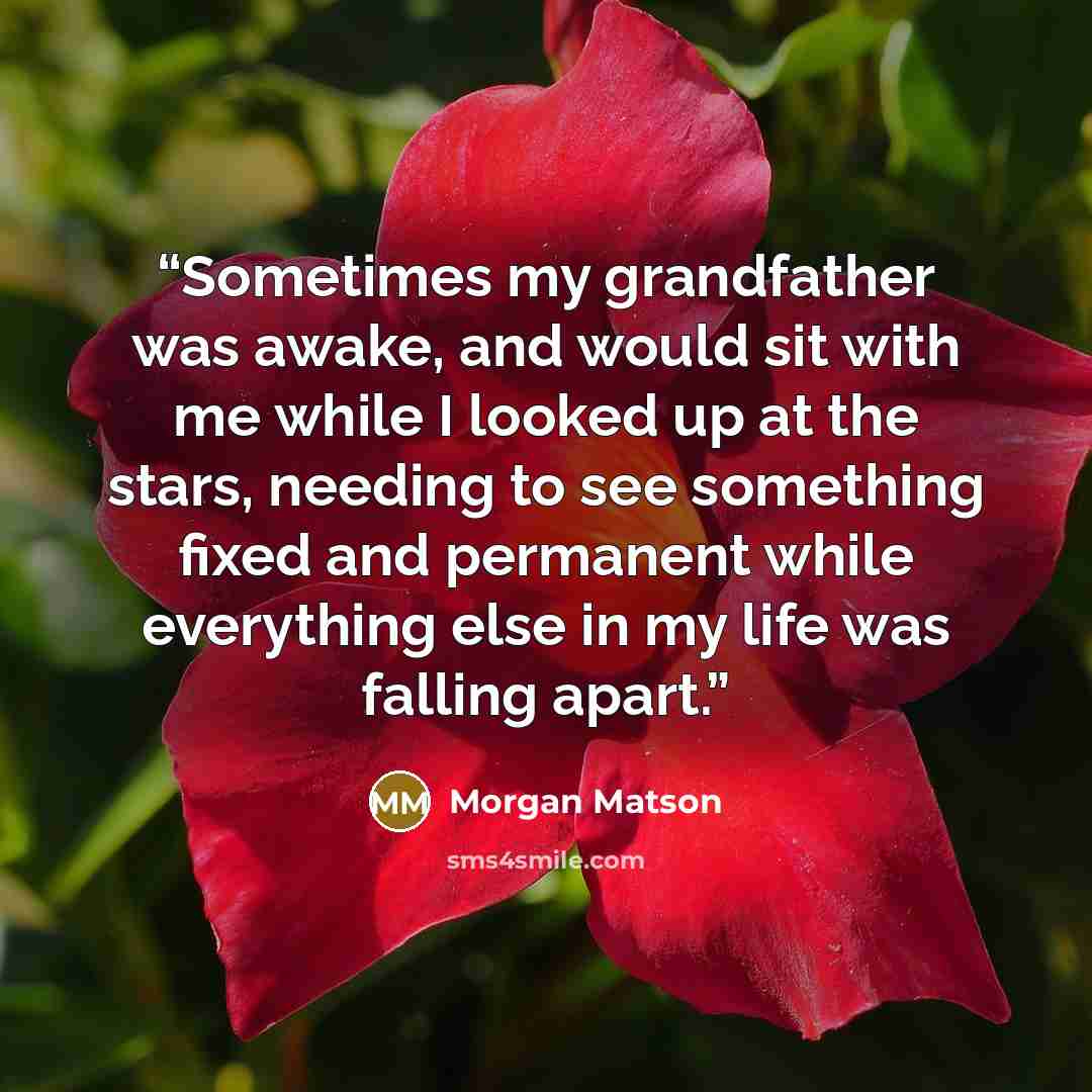 “Sometimes my grandfather was awake, and would sit with me while I looked up at the stars, needing to see something fixed and permanent while everything else in my life was falling apart.” quote by Morgan Matson