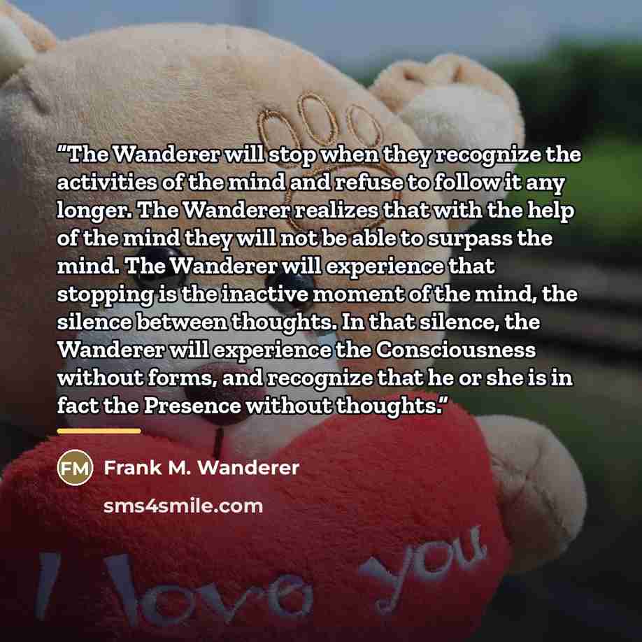 “The Wanderer will stop when they recognize the activities of the mind and refuse to follow it any longer. The Wanderer realizes that with the help of the mind they will not be able to surpass the mind. The Wanderer will experience that stopping is the inactive moment of the mind, the silence…” quote by Frank M. Wanderer
