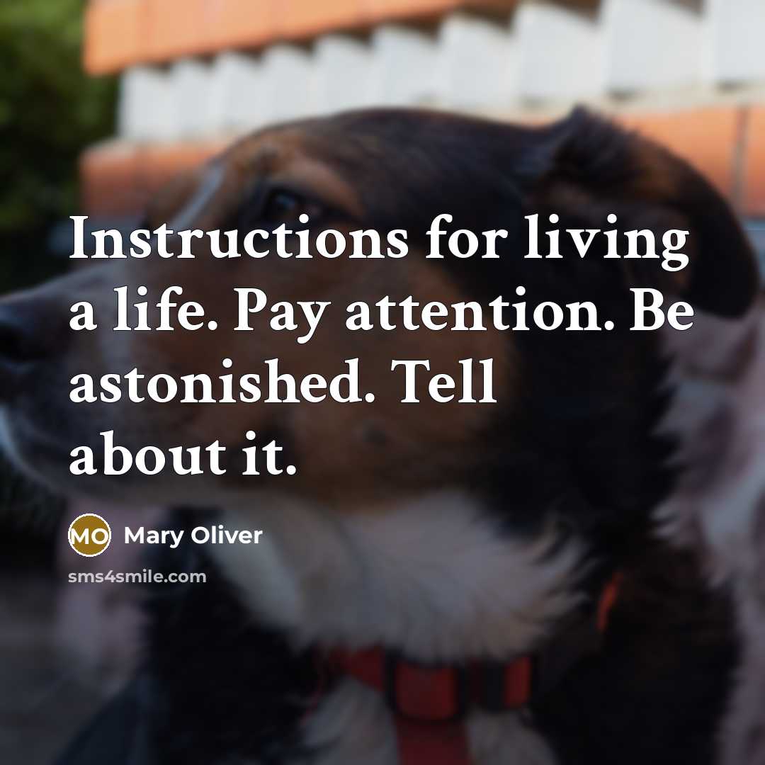 “Instructions for living a life. Pay attention. Be astonished. Tell about it.” quote by Mary Oliver