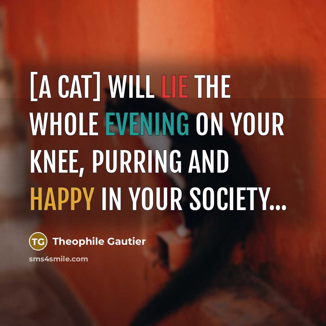 “[A cat] will lie the whole evening on your knee, purring and happy in your society...” quote by Theophile Gautier