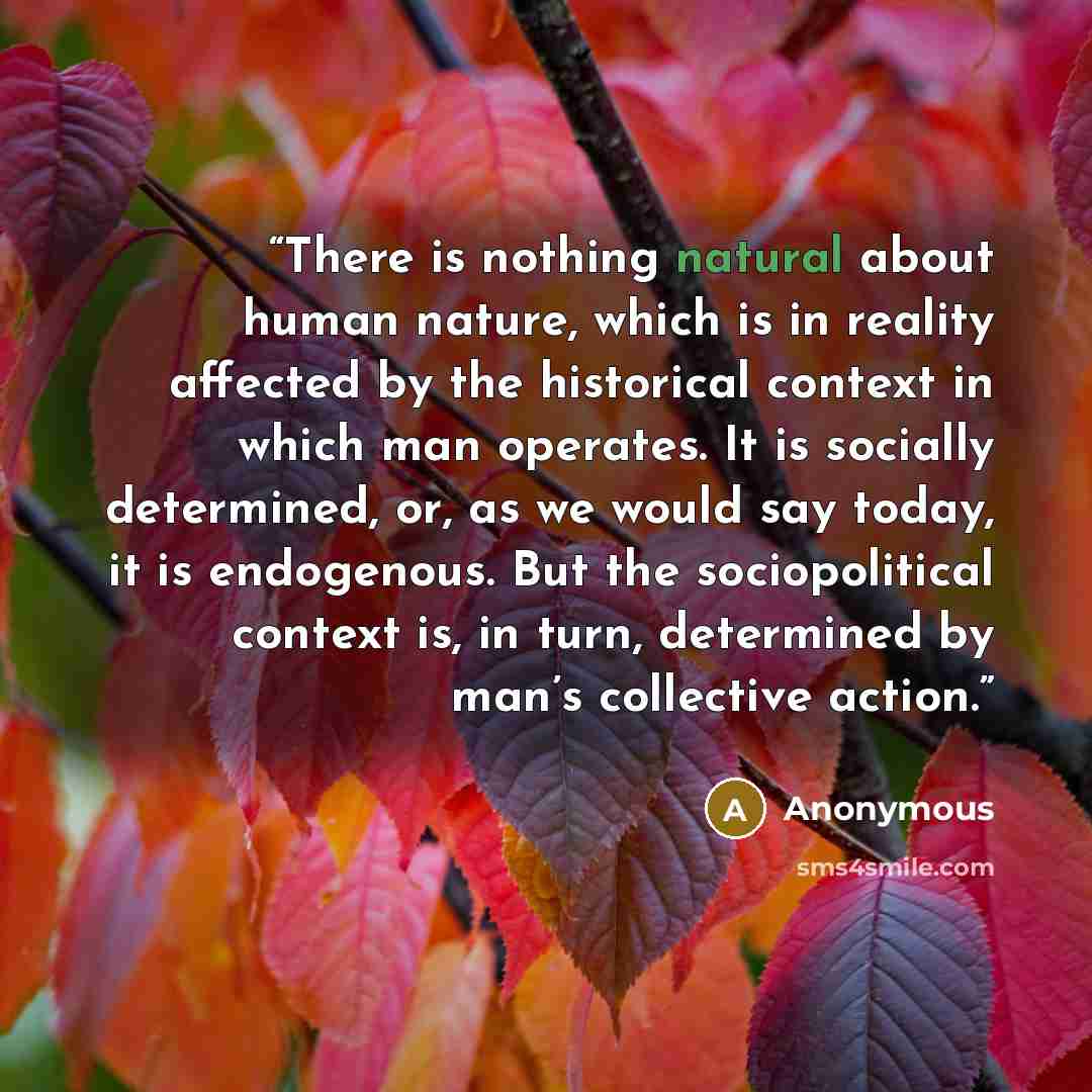 “There is nothing natural about human nature, which is in reality affected by the historical context in which man operates. It is socially determined, or, as we would say today, it is endogenous. But the sociopolitical context is, in turn, determined by man’s collective action.” quote by Anonymous