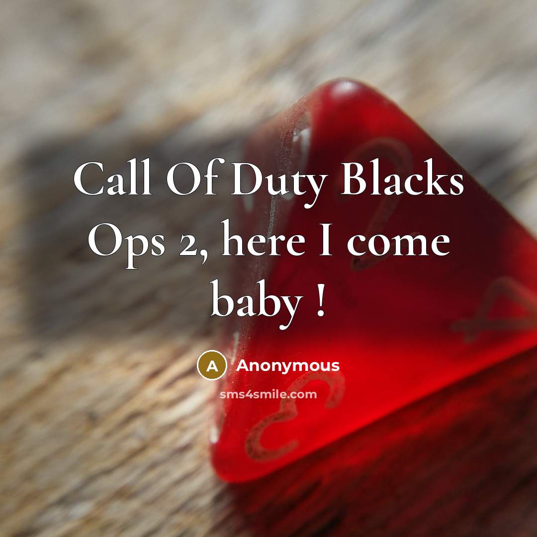 “Call Of Duty Blacks Ops 2, here I come baby !” quote by Anonymous