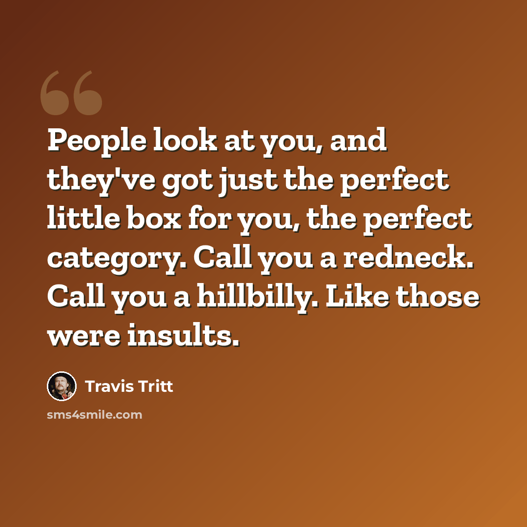 “People look at you, and they've got just the perfect little box for you, the perfect category. Call you a redneck. Call you a hillbilly. Like those were insults.” quote by Travis Tritt