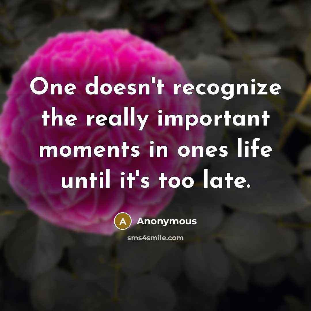 “One doesn't recognize the really important moments in ones life until it's too late.” quote by Anonymous