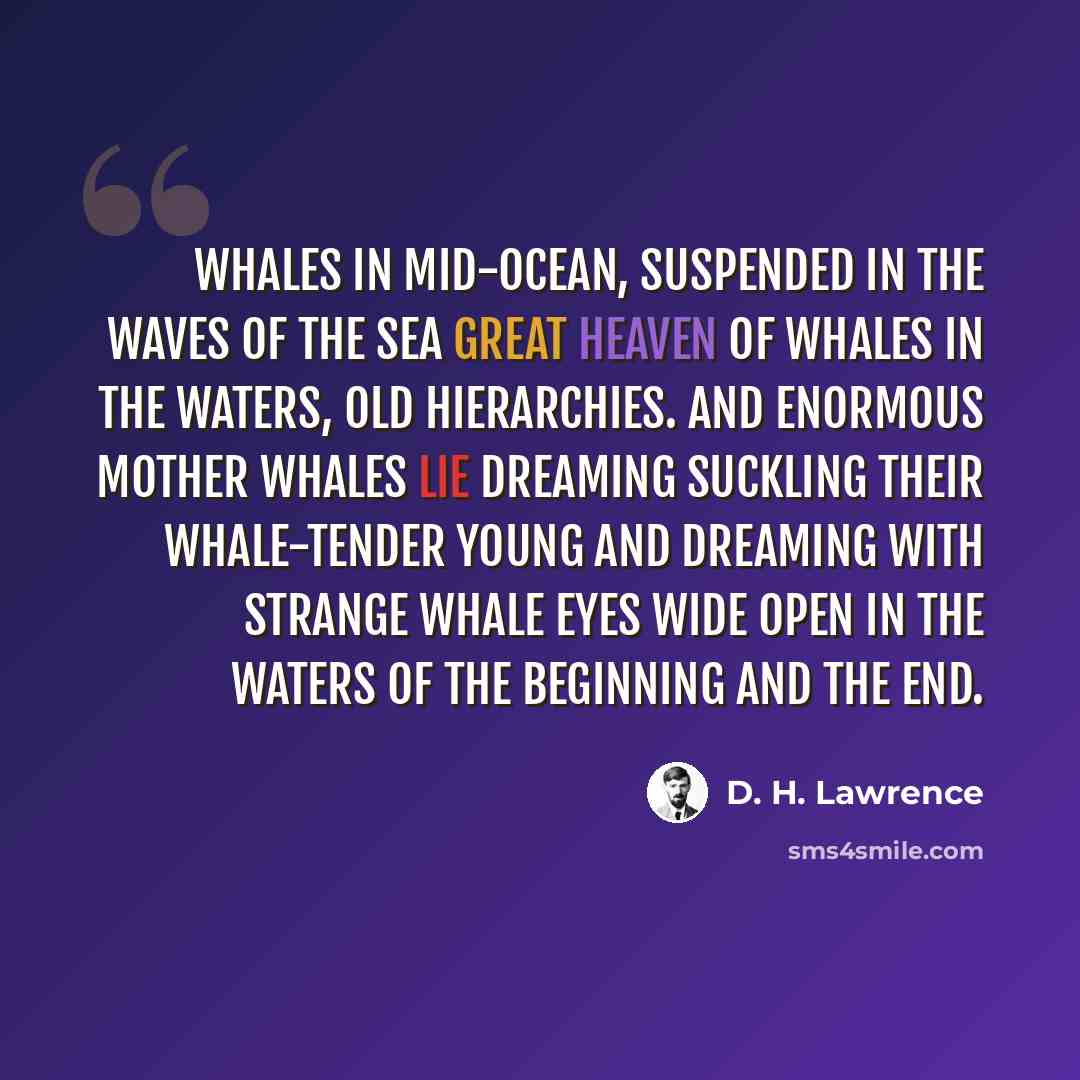 “Whales in mid-ocean, suspended in the waves of the sea great heaven of whales in the waters, old hierarchies. And enormous mother whales lie dreaming suckling their whale-tender young and dreaming with strange whale eyes wide open in the waters of the beginning and the end.” quote by D. H. Lawrence