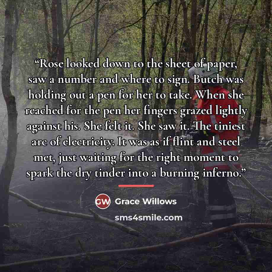 “Rose looked down to the sheet of paper, saw a number and where to sign. Butch was holding out a pen for her to take. When she reached for the pen her fingers grazed lightly against his. She felt it. She saw it. The tiniest arc of electricity. It was as if flint and steel met, just waiting for the…” quote by Grace Willows