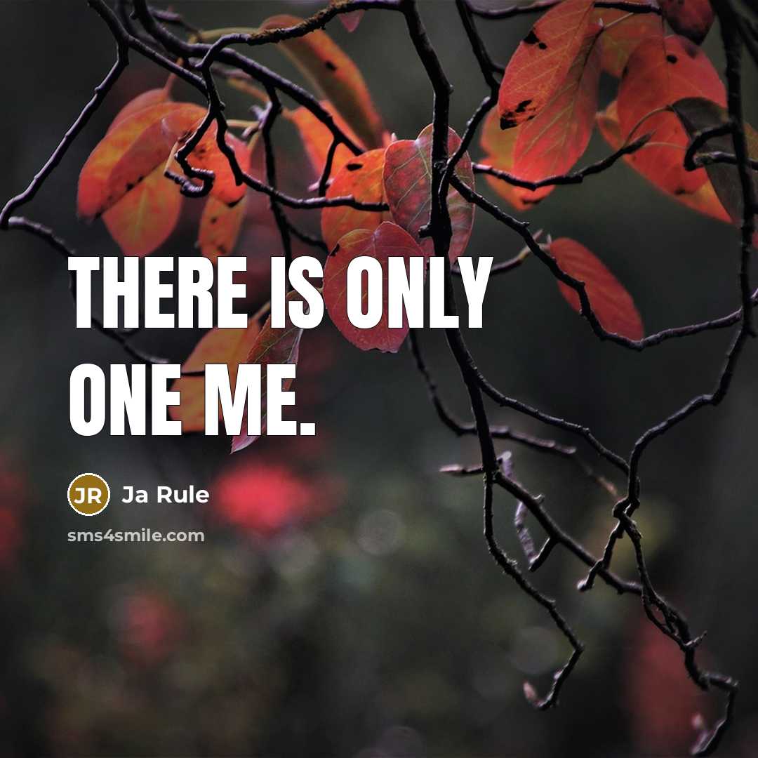 “There is only one me.” quote by Ja Rule