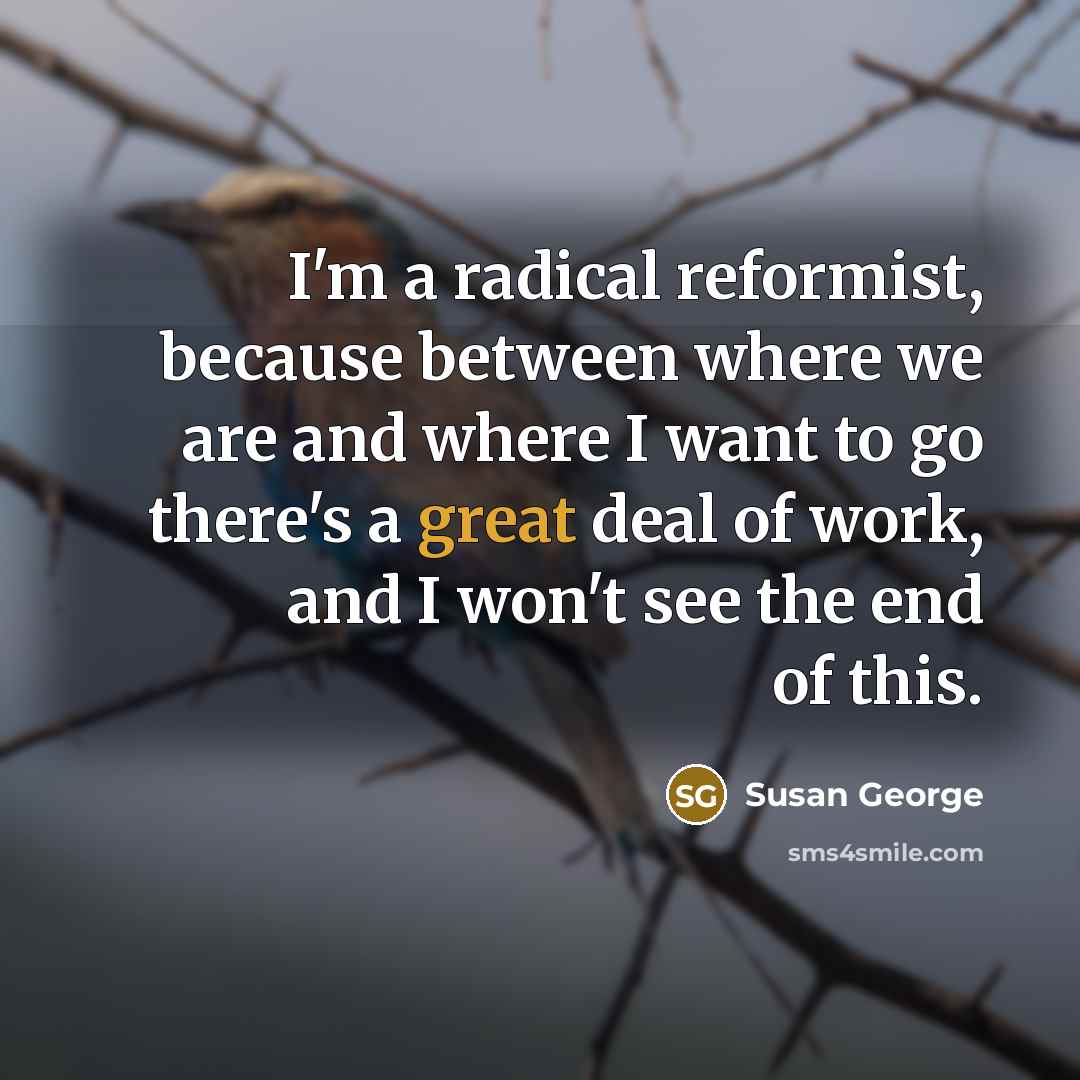 “I'm a radical reformist, because between where we are and where I want to go there's a great deal of work, and I won't see the end of this.” quote by Susan George