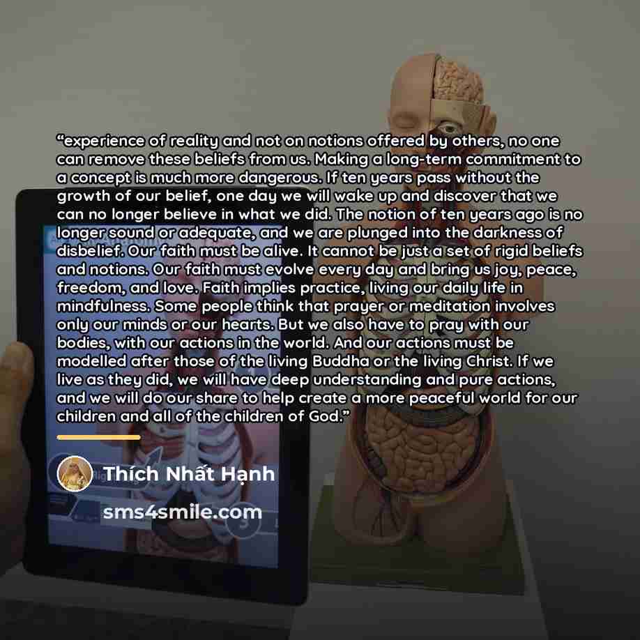 “experience of reality and not on notions offered by others, no one can remove these beliefs from us. Making a long-term commitment to a concept is much more dangerous. If ten years pass without the growth of our belief, one day we will wake up and discover that we can no longer believe in what we…” quote by Thích Nhất Hạnh