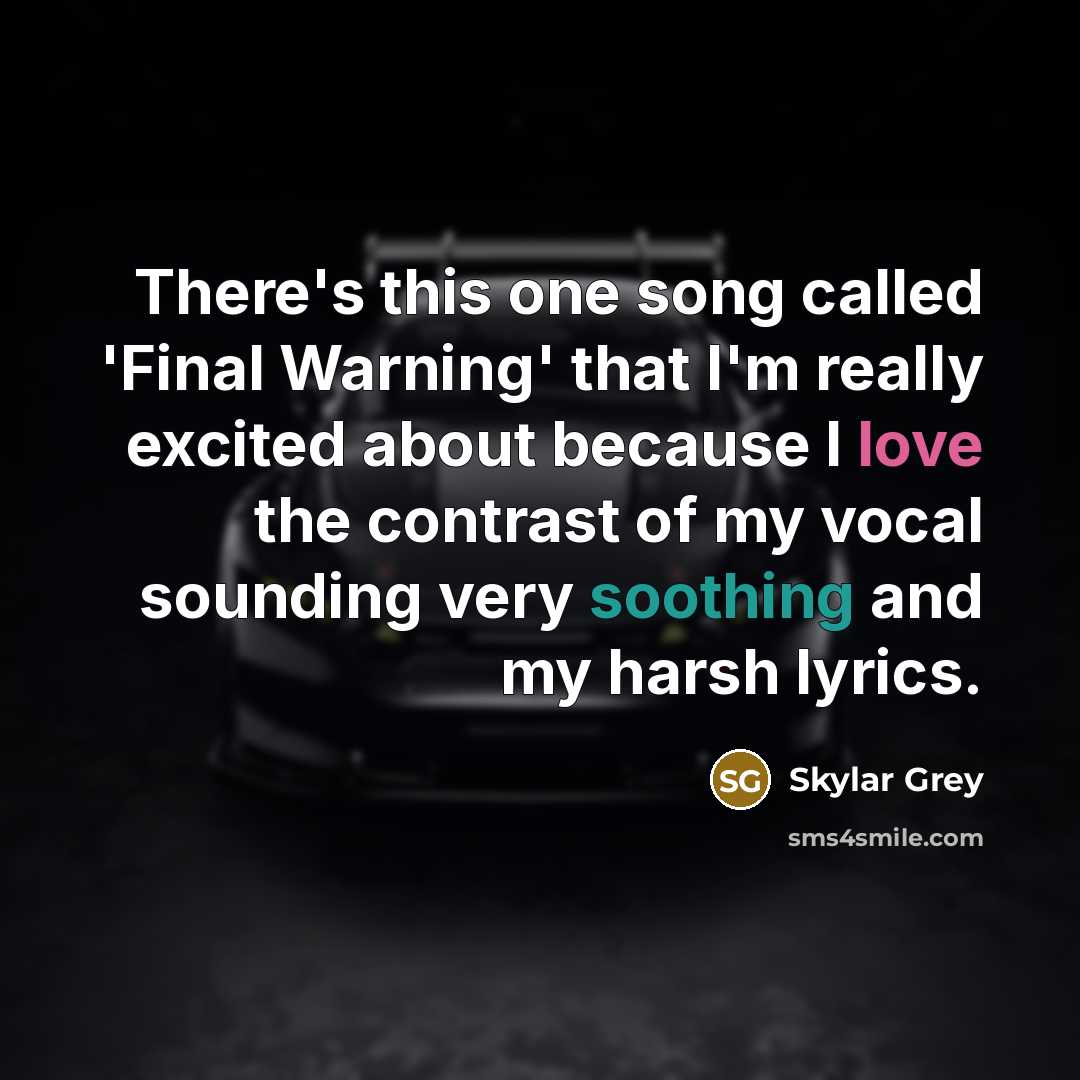 “There's this one song called 'Final Warning' that I'm really excited about because I love the contrast of my vocal sounding very soothing and my harsh lyrics.” quote by Skylar Grey
