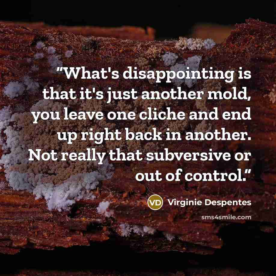 “What's disappointing is that it's just another mold, you leave one cliche and end up right back in another. Not really that subversive or out of control.” quote by Virginie Despentes