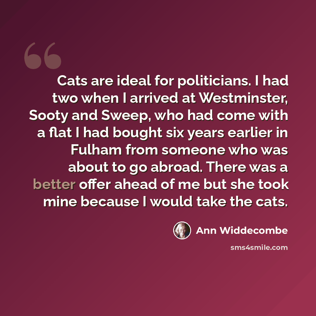 “Cats are ideal for politicians. I had two when I arrived at Westminster, Sooty and Sweep, who had come with a flat I had bought six years earlier in Fulham from someone who was about to go abroad. There was a better offer ahead of me but she took mine because I would take the cats.” quote by Ann Widdecombe