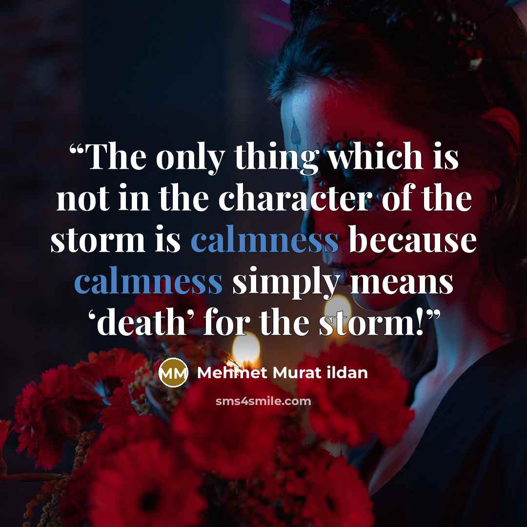“The only thing which is not in the character of the storm is calmness because calmness simply means ‘death’ for the storm!” quote by Mehmet Murat ildan
